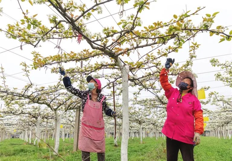 网箱养殖泥鳅利润和成本_养泥鳅网箱多少目最好_泥鳅网箱养殖技术视频