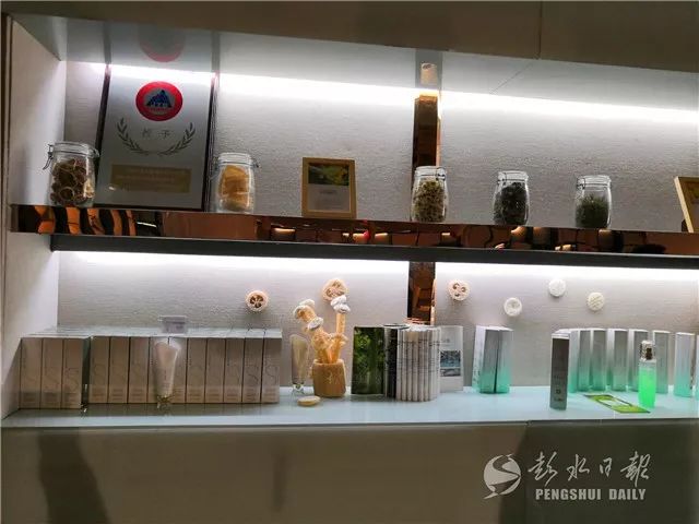 致富种植丝瓜视频_丝瓜种植 致富_丝瓜种植效益