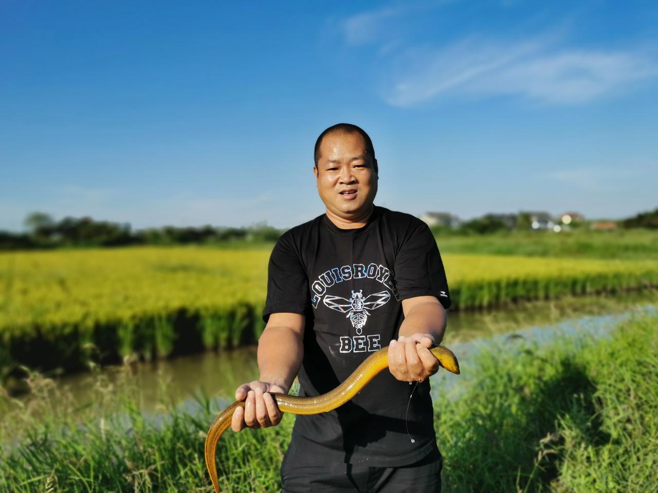 养殖黄鳝挣钱吗_黄鳝养殖致富之人_黄鳝养殖成功案例