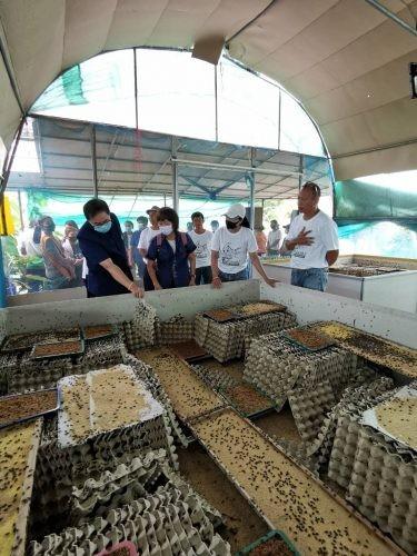 食用虫养殖致富_致富经养虫子鸡视频全集_致富虫养殖食用方法