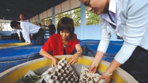 致富经养虫子鸡视频全集_食用虫养殖致富_致富虫养殖食用方法