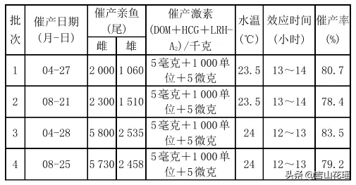 养殖台湾泥鳅不愁销路_提供台湾泥鳅全套养殖技术_全套养殖泥鳅台湾技术提供什么