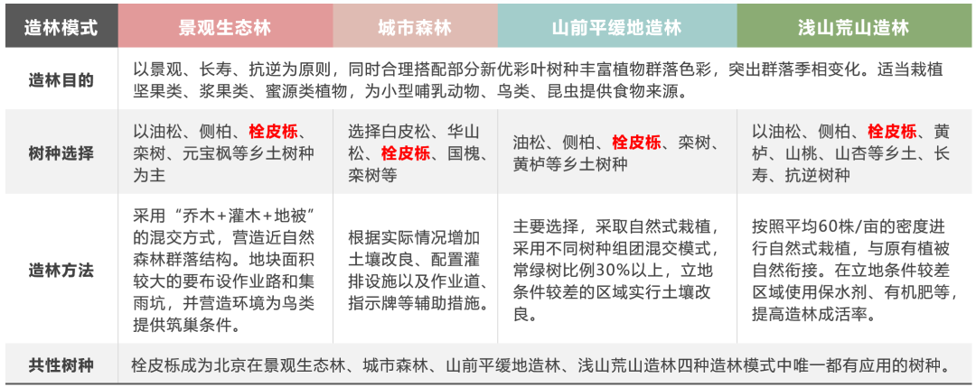 橡树种植致富_致富种植橡树图片_致富种植橡树怎么样