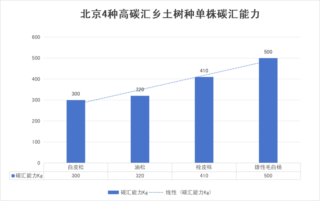 致富种植橡树怎么样_致富种植橡树图片_橡树种植致富