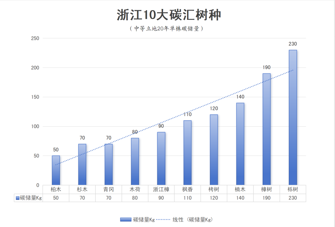 致富种植橡树怎么样_致富种植橡树图片_橡树种植致富