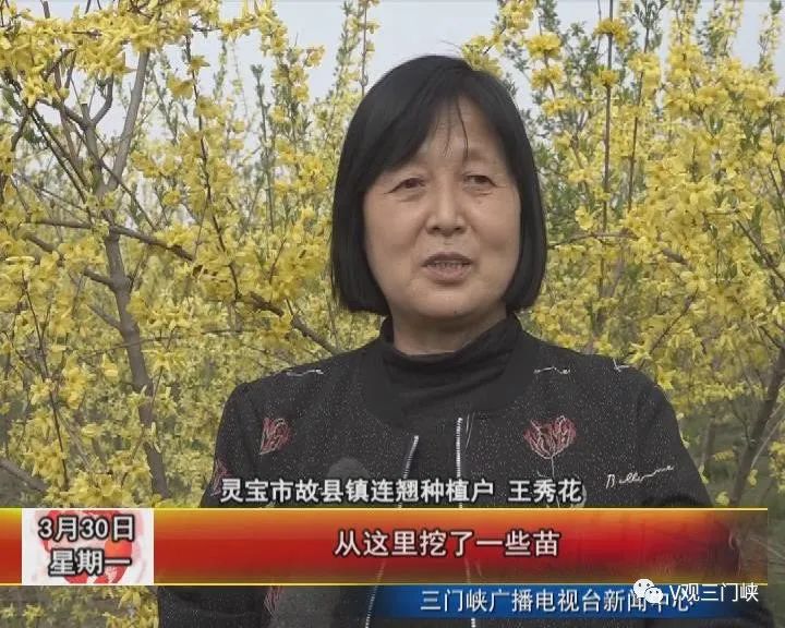 种植小技巧小视频_种植培训视频_连趐种植技术视频