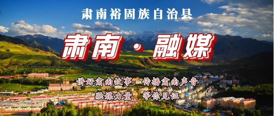 【巩固拓展脱贫攻坚成果】肃南：黄牛养殖踏上“致富路” 乡村振兴“犇”出加速度