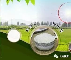 致富粮食种植方案怎么写_粮食种植视频_粮食种植致富方案