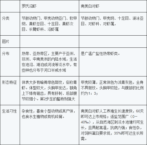 最新罗氏沼虾养殖技术视频_罗士沼虾养殖技术_养罗氏沼虾注意什么