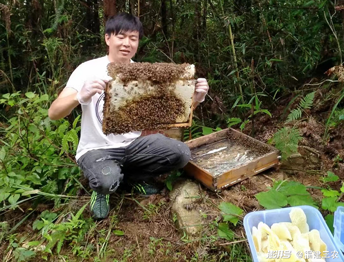 农村实用人才带头人丨邱文凯：讲好“野熊部落”的甜蜜故事