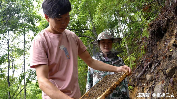 在重庆农村养殖什么赚钱_重庆农村养殖政府扶持项目_重庆农村养殖致富