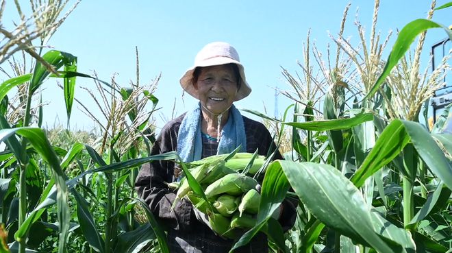 粮食种植致富方案_粮食种植视频_致富粮食种植方案怎么写