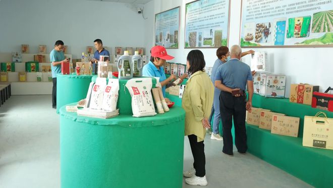 致富粮食种植方案怎么写_粮食种植致富方案_粮食种植视频