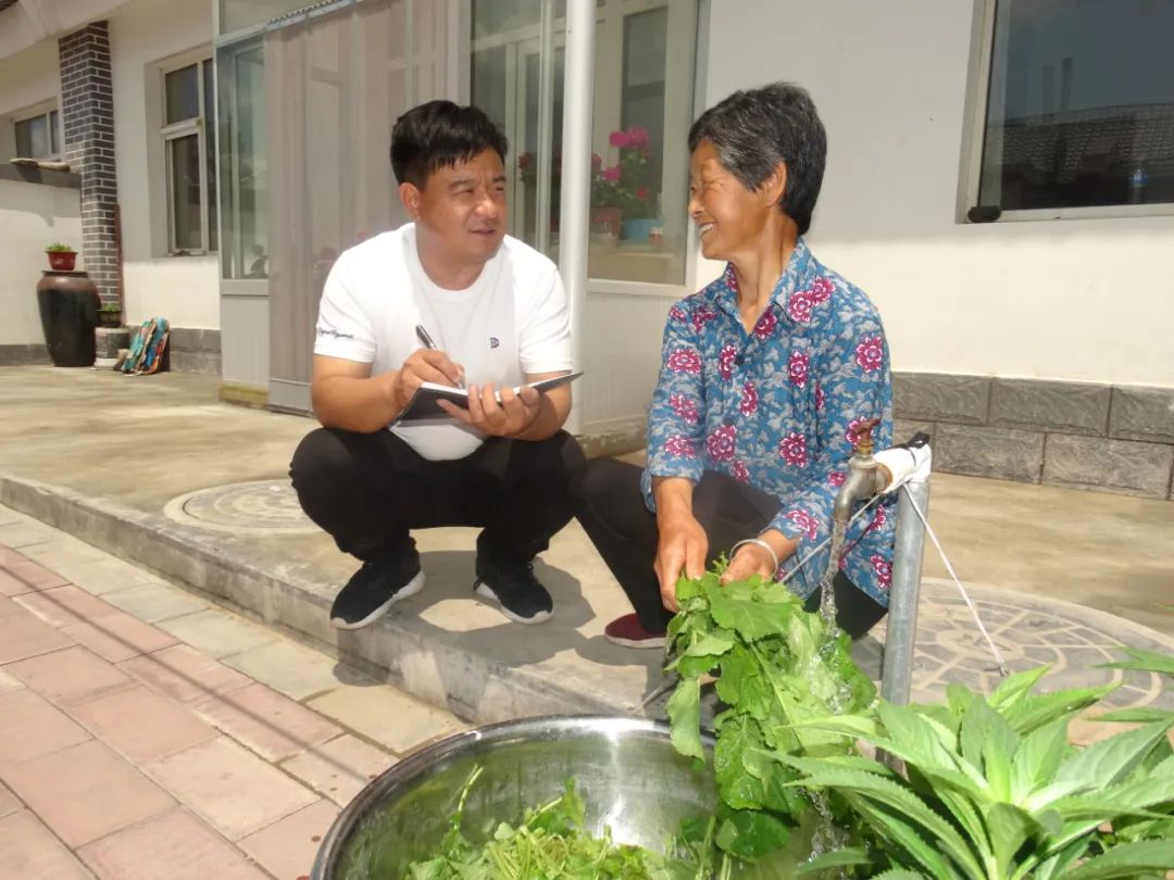 致富经养土鸡蛋视频_土蛋种植致富项目_种养致富项目