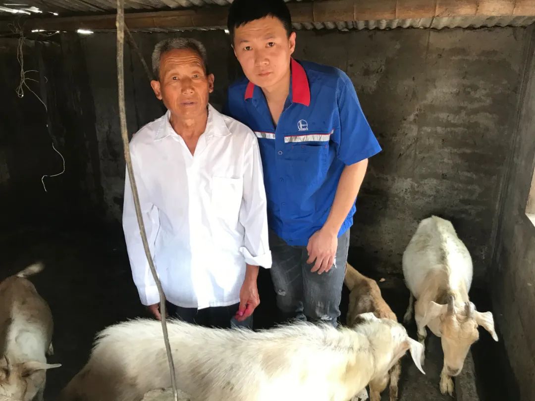 致富经养土鸡蛋视频_种养致富项目_土蛋种植致富项目