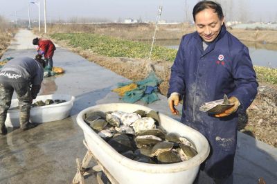 发展人工养甲鱼,对农民致富，增加经济收入有重要意义—湖南湖丰