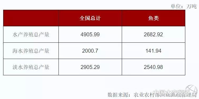 养殖致富新模式助力乡村振兴、精准扶贫，服务三农