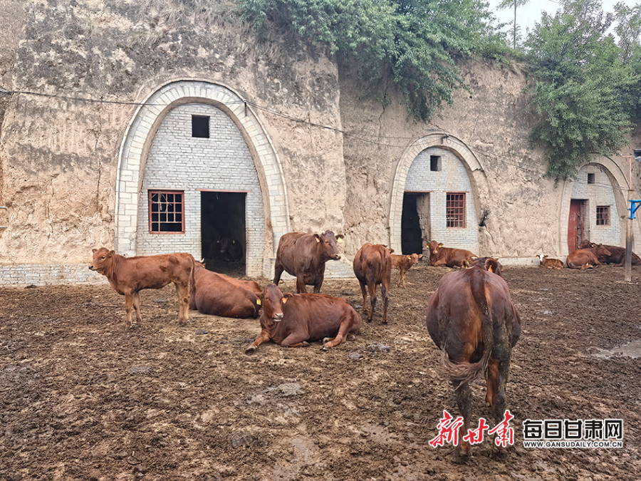 致富饲料价格表_致富饲料养殖用什么肥料_致富经养殖不用饲料