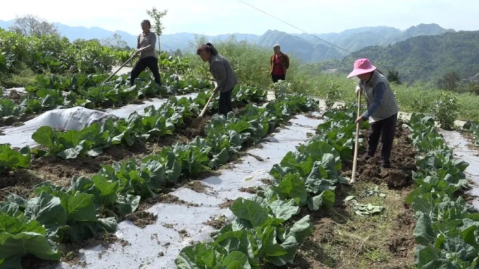 致富养殖语_怎样写家庭养殖致富经过_致富养殖业