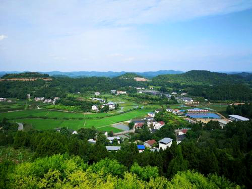 四川遂宁产业扶贫见闻①|大环线大园区铺就脱贫致富路