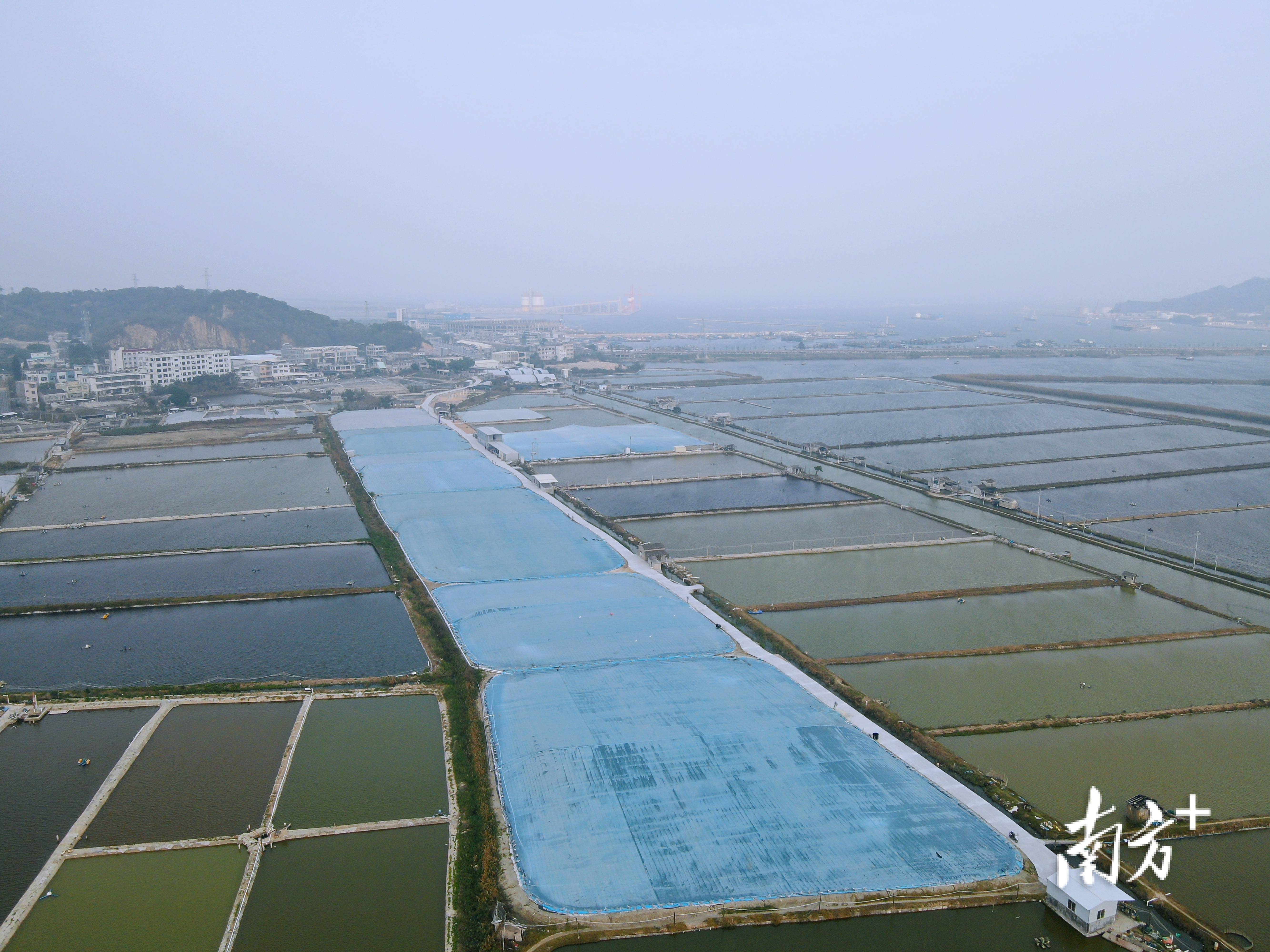 水产养殖致富项目_养殖水产赚钱吗_水产养殖致富能人