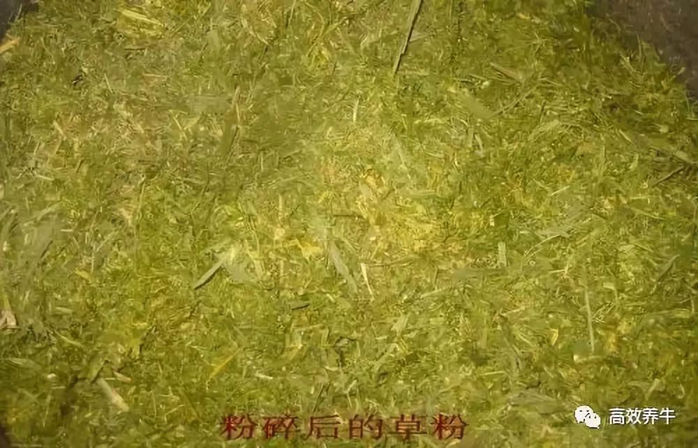 玉米秸秆种植_玉米秸秆养殖技术大全集_玉米秸秆利用致富