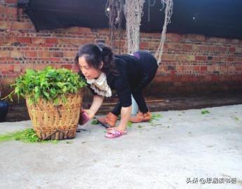 致富经潘远香养牛视频_潘远香养牛是真的假的_致富经潘远香是哪一期