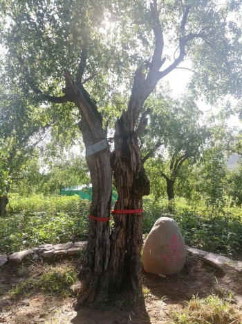 致富温泉养殖项目介绍_温泉养殖致富项目_温泉水养殖项目