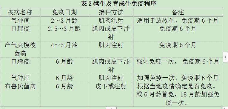 犊牛养殖技术视频_小牛犊养殖技术视频_犊牛饲养技术视频