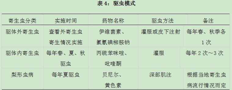 小牛犊养殖技术视频_犊牛饲养技术视频_犊牛养殖技术视频