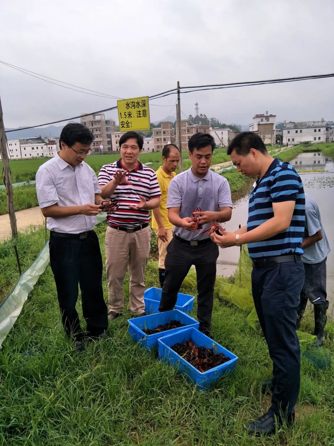 致富养殖稻田项目介绍_致富养殖稻田项目招标_稻田养殖致富项目