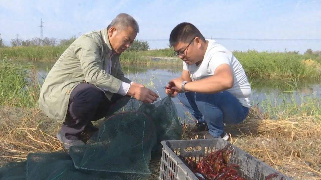 大棚养殖致富吗_大棚致富项目_致富养殖大棚图片