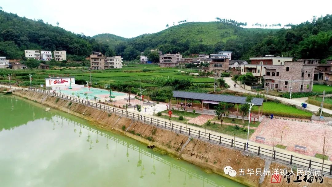 工艺鲜花致富经_致富鲜花工艺流程图_致富鲜花工艺流程