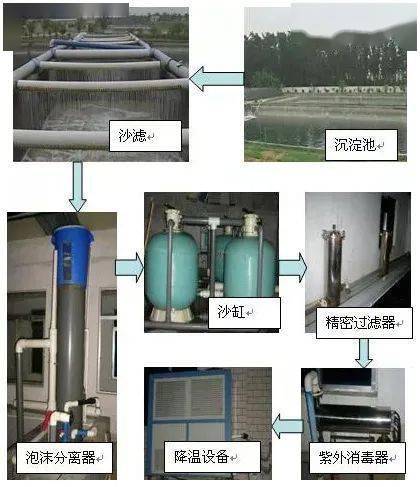 生财有道南美白对虾养殖_老虾农科学养南美白对虾_江门南美白对虾养殖技术