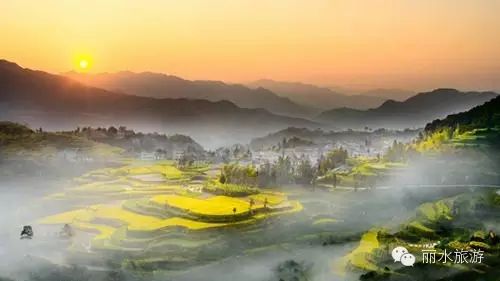 包山种什么赚钱_包山种植致富_包山种药材