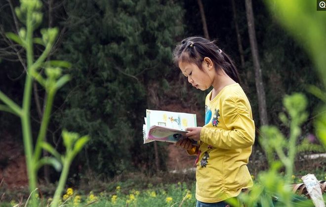 致富经坚强女人何继英_致富经坚强女人何继英_致富经坚强女人何继英