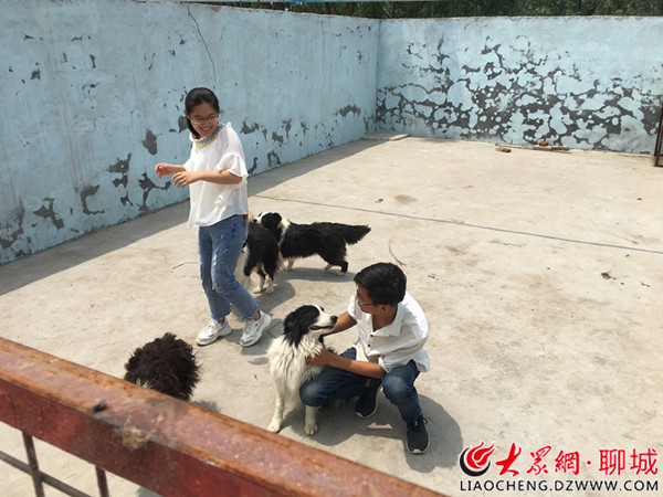 致富例子养殖土狗图片_致富经土狗养殖_土狗养殖致富例子