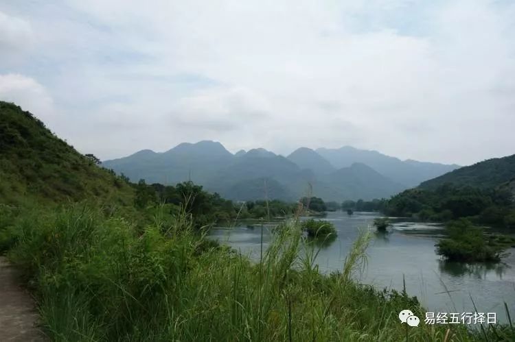 致富经养殖业_在大山里养殖致富经文_致富经山鸡养殖视频