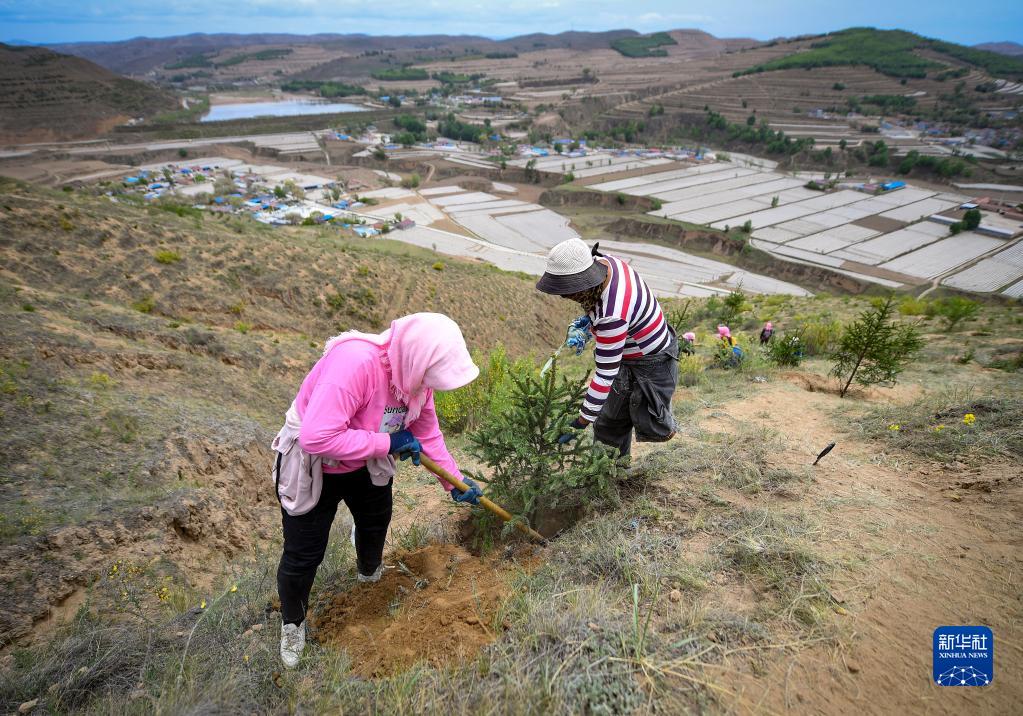 致富经养殖青山羊视频_致富经司全军青山羊_致富经青山羊