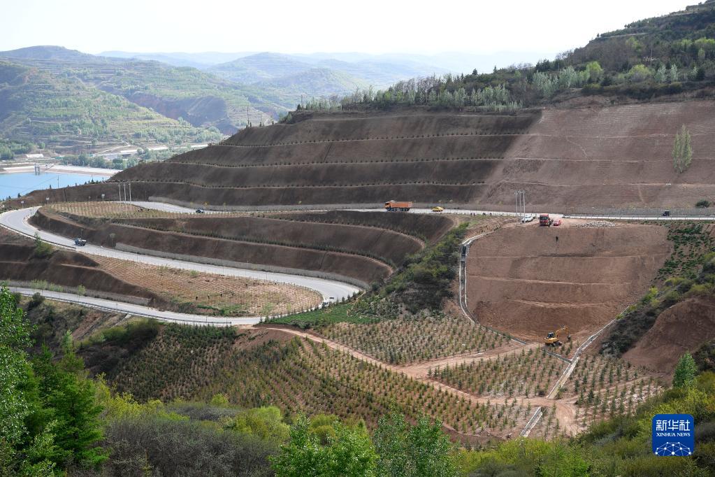 致富经青山羊_致富经养殖青山羊视频_致富经司全军青山羊