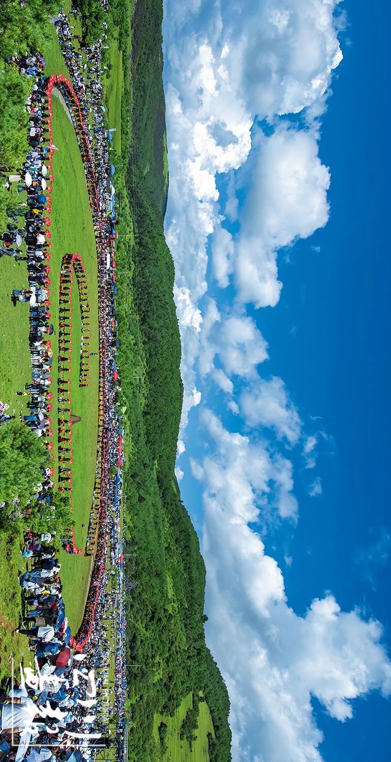 种植魔芋技术与病虫害预防_种植魔芋技术栽种方法_魔芋种植技术cctv7