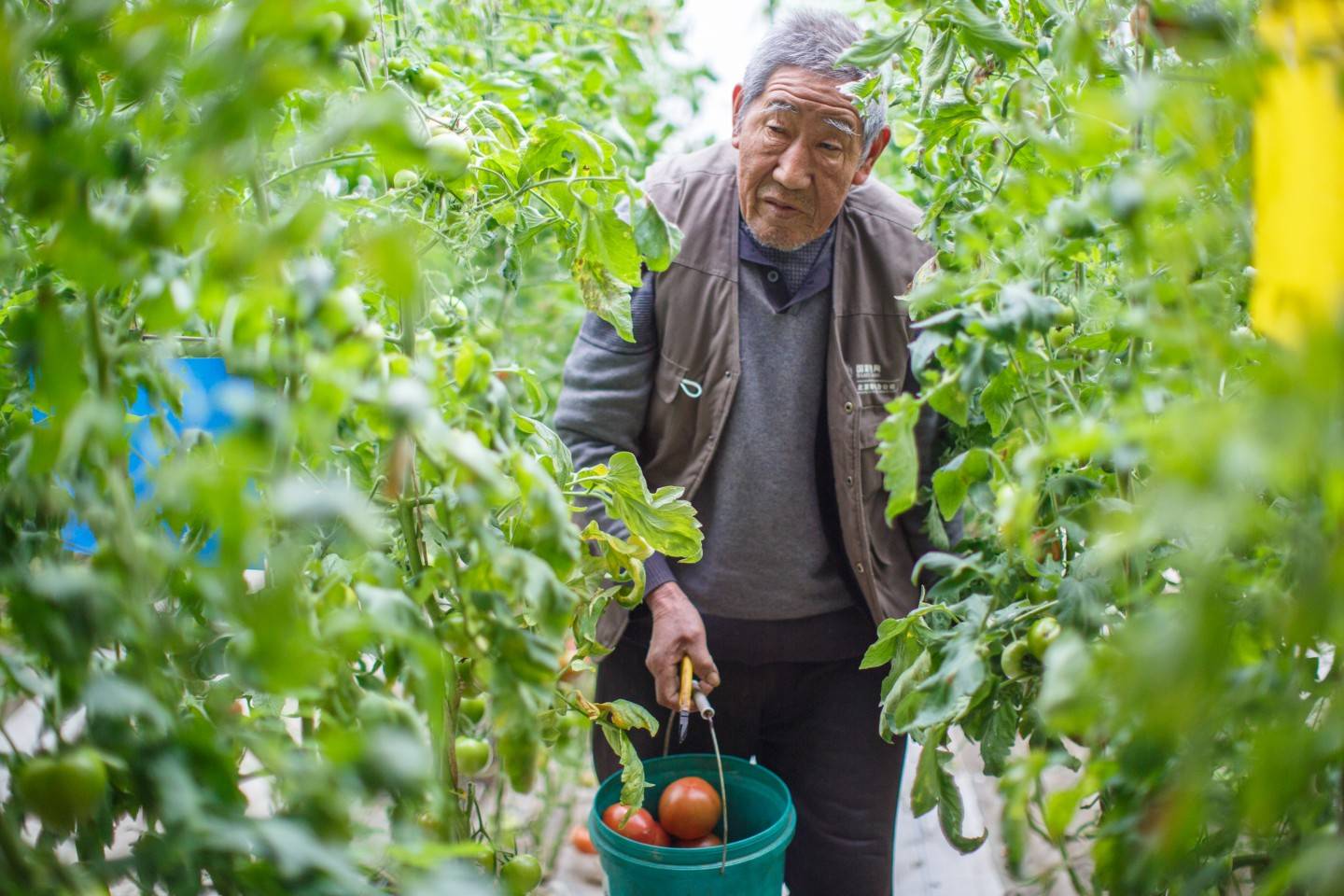 做好“土特产”文章 促进北京生态涵养区农民增收致富