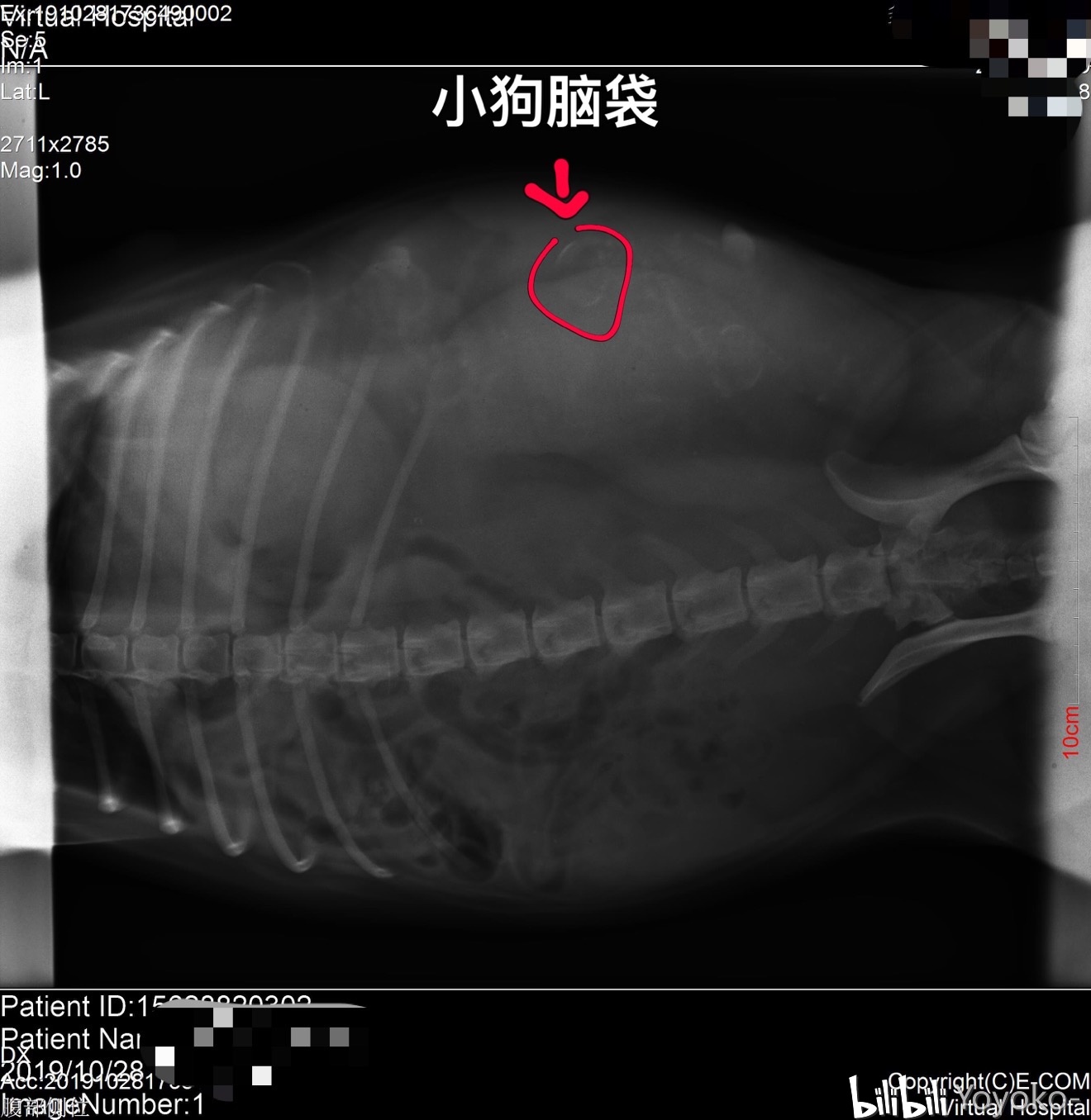 15天优质经验分享图片_优秀经验分享怎么写_优秀经验分享图片