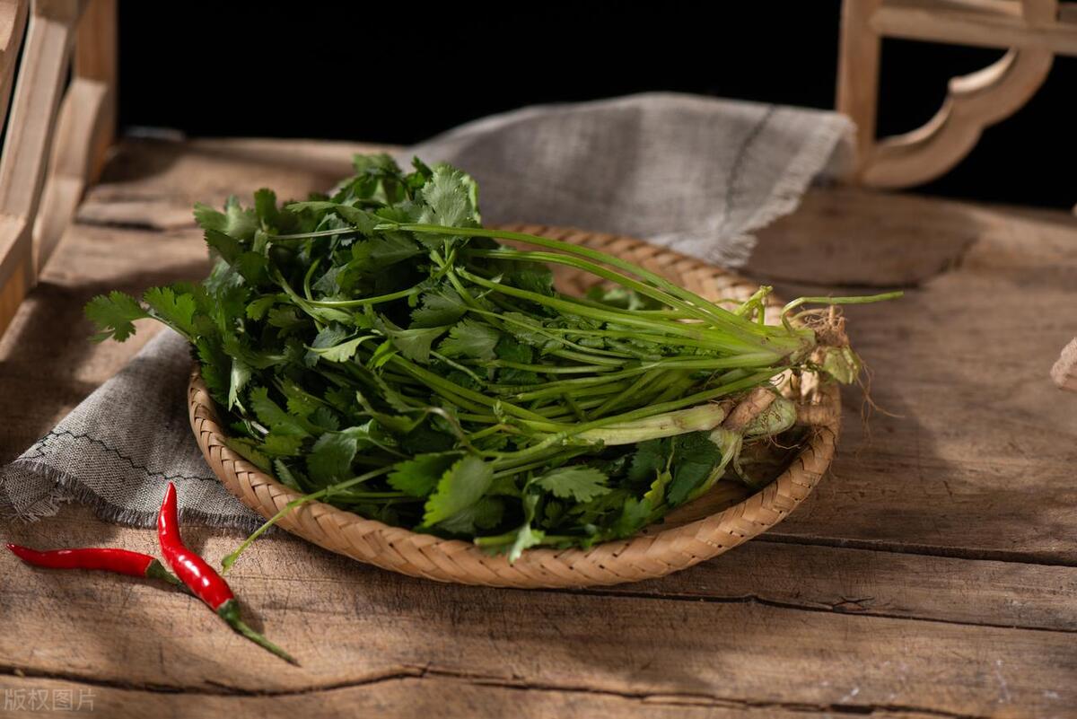 芫茜种植技术_芫茜种植适合的温度_芫茜的种子长什么样