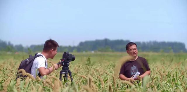 红薯致富经致富经视频_致富经中红薯的大学生_致富经红薯种植人