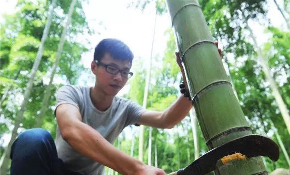 视频致富竹酒是真的吗_致富经竹酒视频_致富经竹虫视频