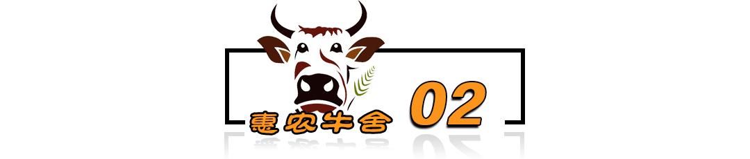 肉牛养殖手册书籍_肉牛养殖技术手册_肉牛养殖技术教程视频