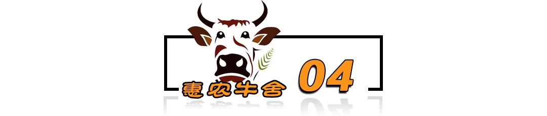 肉牛养殖技术手册_肉牛养殖手册书籍_肉牛养殖技术教程视频