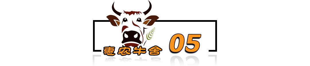 肉牛养殖手册书籍_肉牛养殖技术教程视频_肉牛养殖技术手册