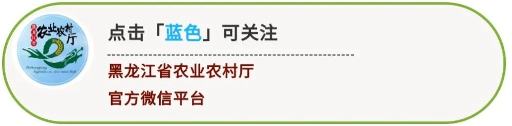 壮大集体经济 助推乡村振兴---绥棱县靠山乡靠山村党总支创办集体企业带领村民脱贫致富纪实